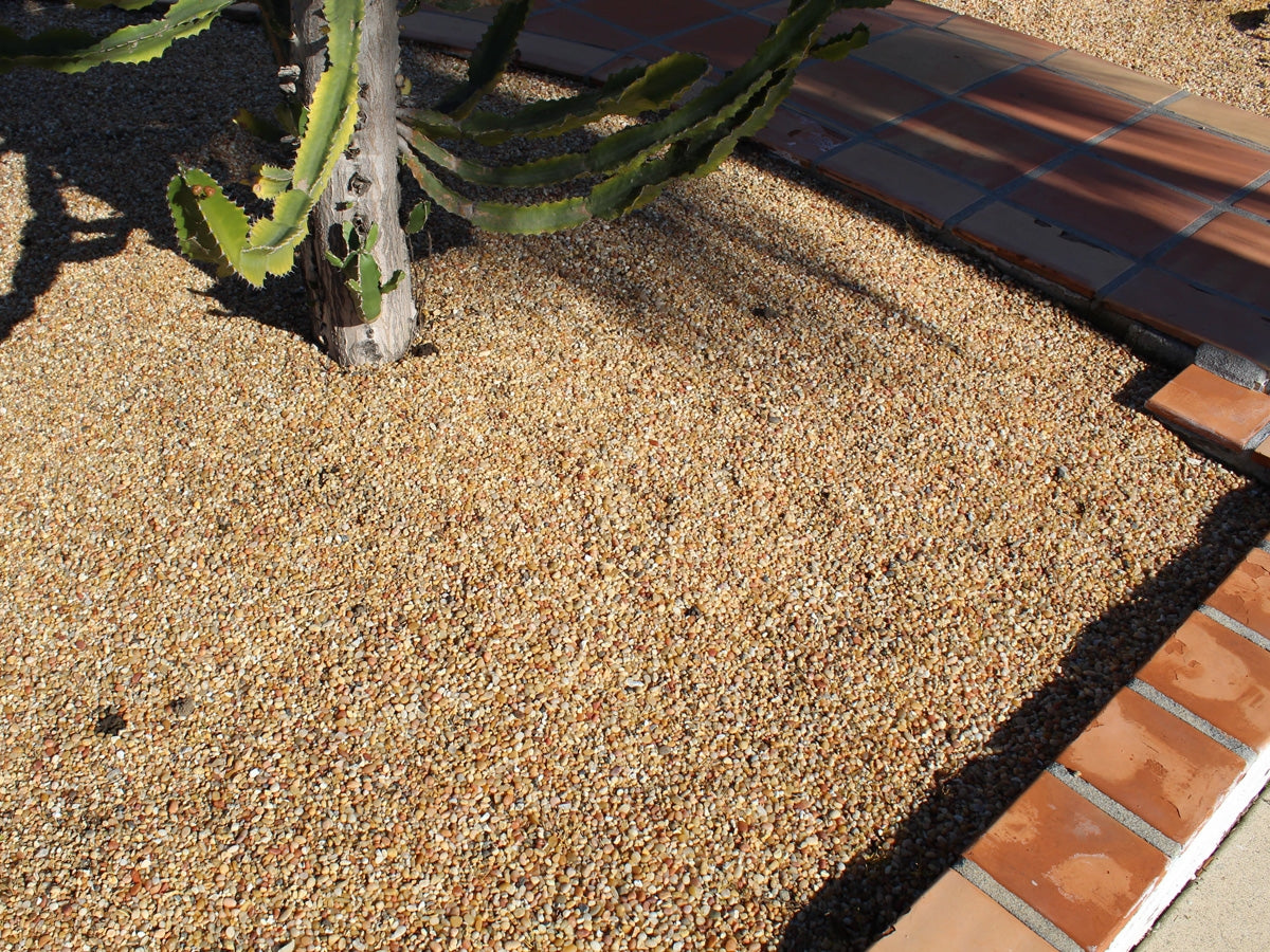 Salmon Bay Pebbles