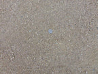Desert Gold Decomposed Granite