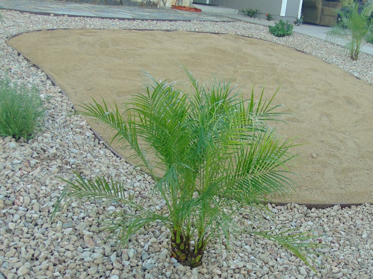 Desert Gold Decomposed Granite
