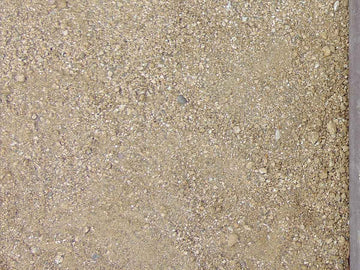 Desert Gold D.G.
