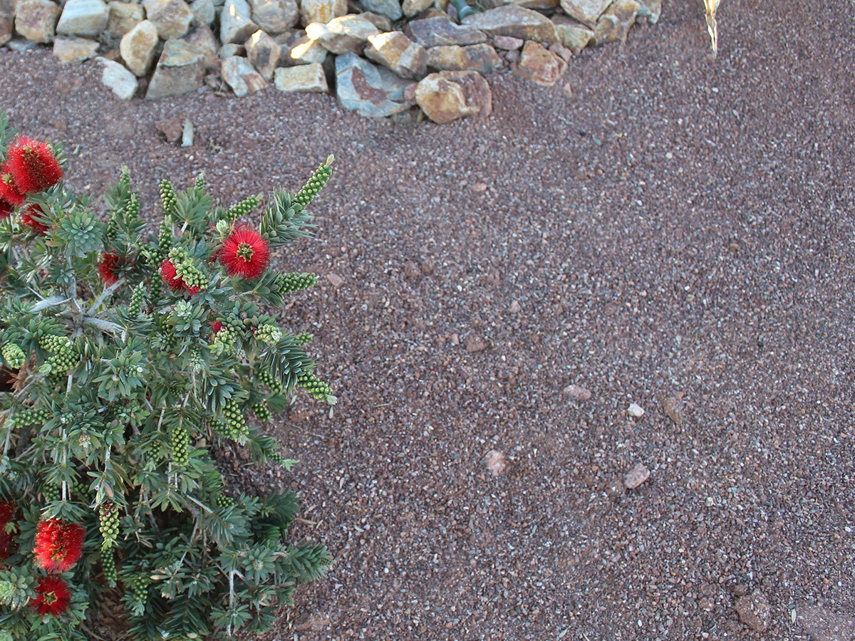 Saddleback Brown Decomposed Granite