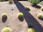 Saddleback Brown Decomposed Granite