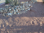 Saddleback Brown Decomposed Granite