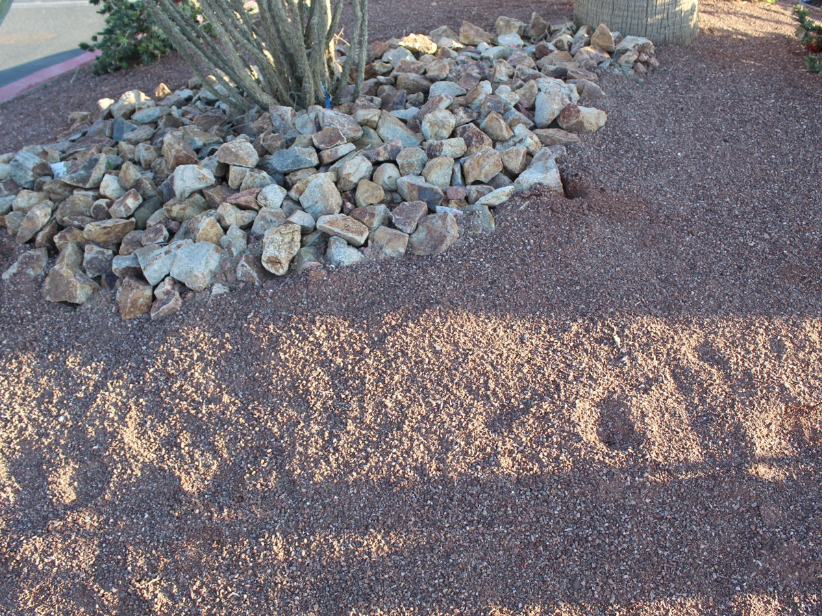 Saddleback Brown Decomposed Granite