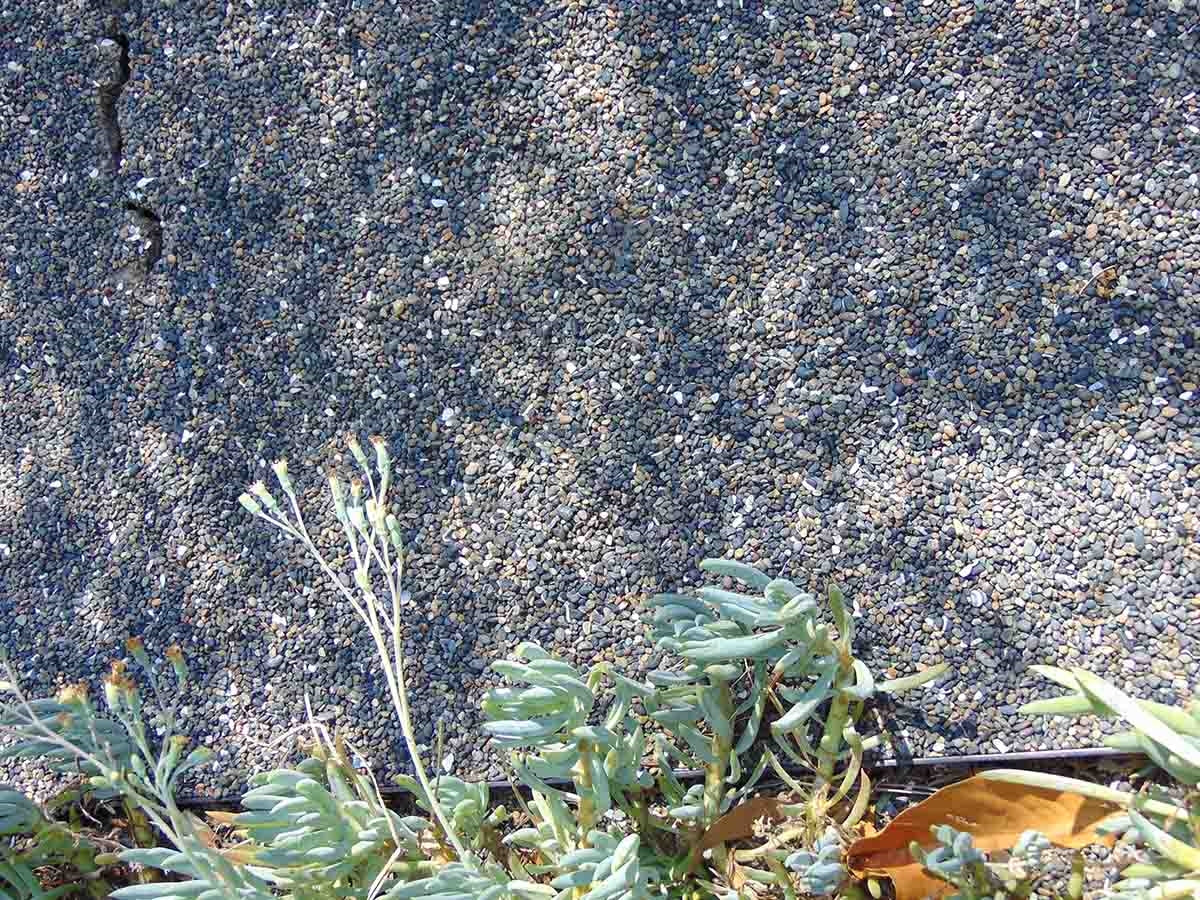 Black Mexican Beach Pebbles