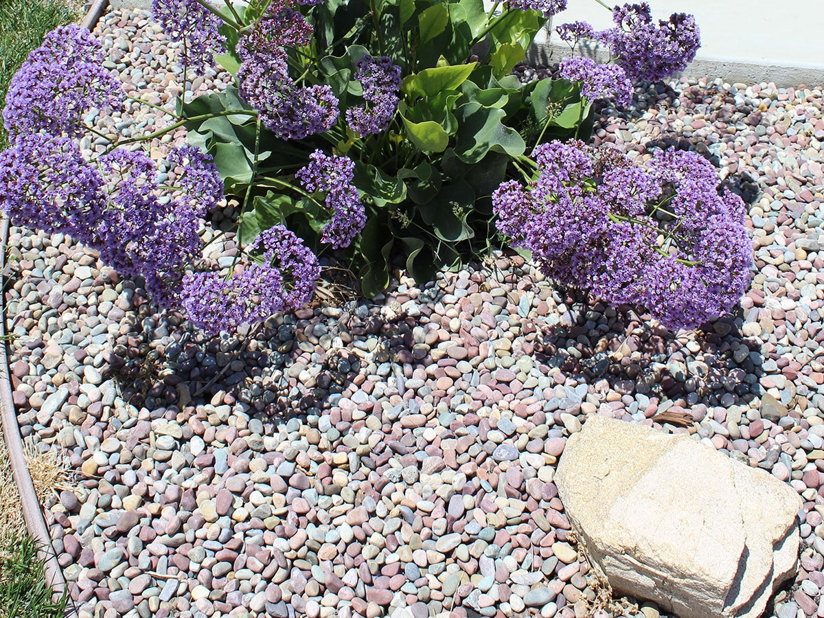 Pami Rainbow Pebbles