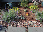 Pami Rainbow Pebbles