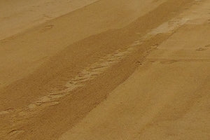 Golden Princess Decomposed Granite
