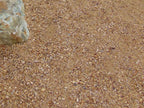 Coyote Gold Decomposed Granite