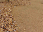 Navajo Gold Decomposed Granite
