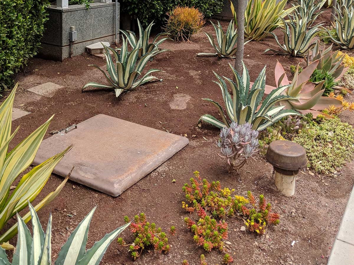 Saddleback Brown Decomposed Granite