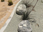 Surf Green Decomposed Granite