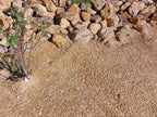 California Gold Decomposed Granite