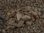 Café Vaquero Gravel