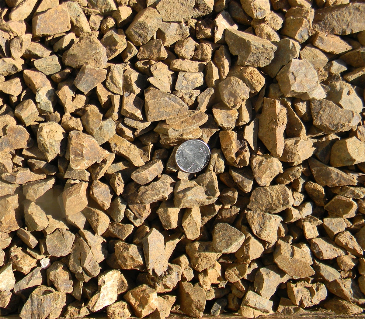 Café Vaquero Gravel