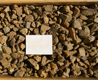 Café Vaquero Gravel