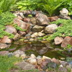 Diy Backyard Pond Kit 6' X 8' – image 3