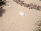 Desert Rose Decomposed Granite