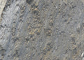 Idaho Silver Quartzite Flagstone