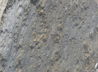 Idaho Silver Quartzite Flagstone