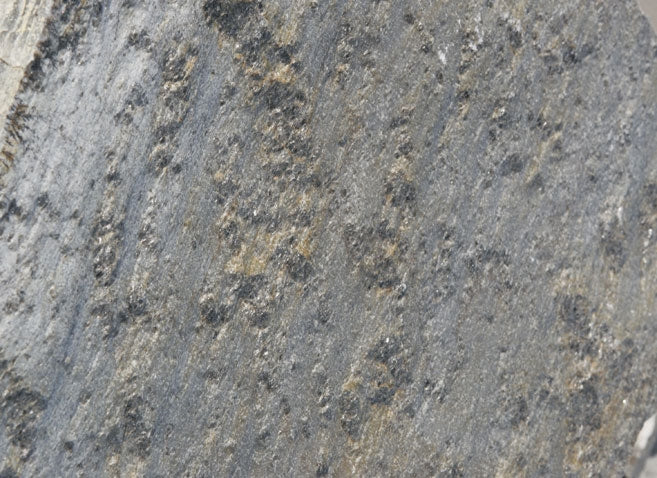 Idaho Silver Quartzite Flagstone
