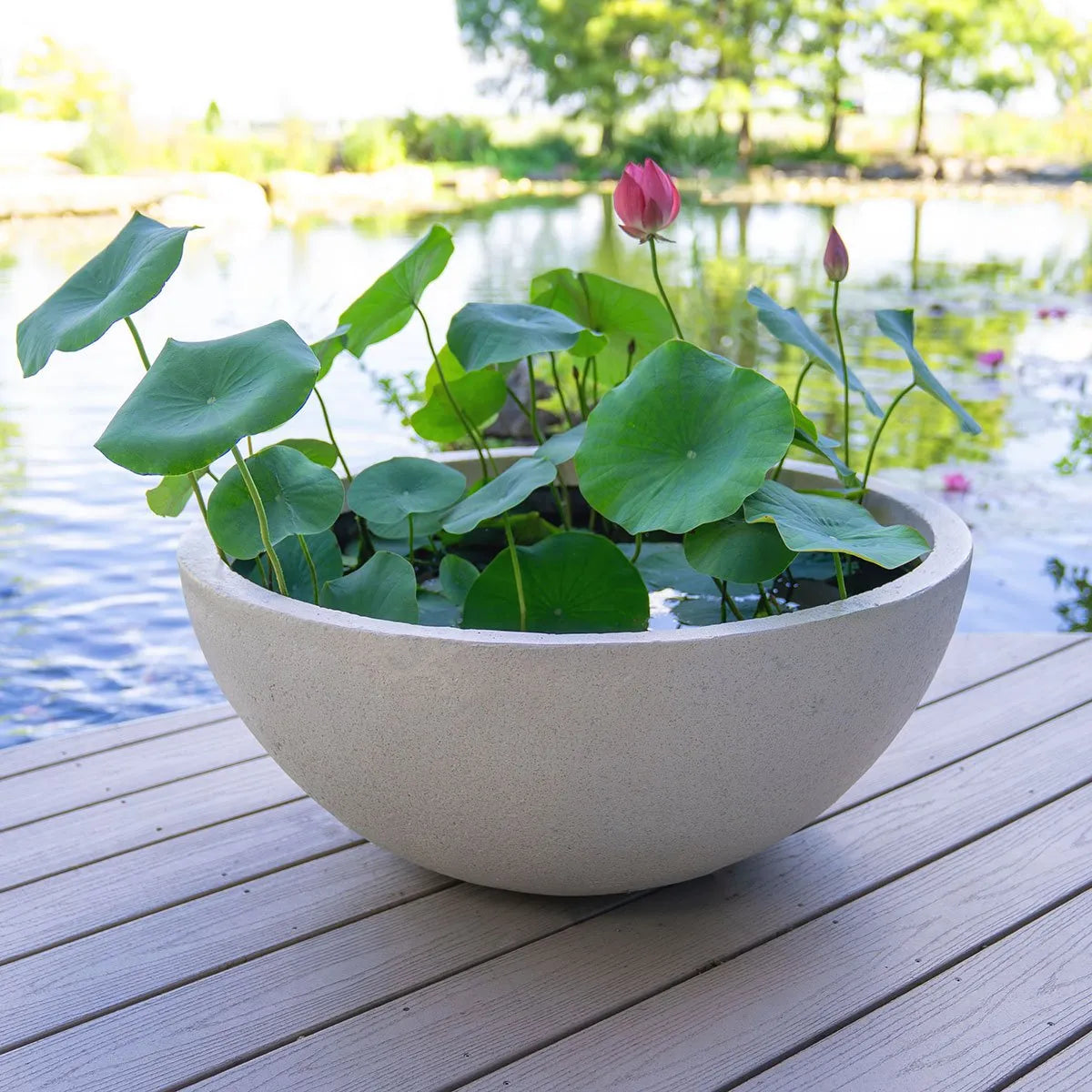 Fountain Bowl - Lunar Gray - 32" Dia (81 Cm) – image 4