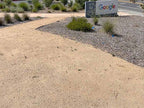 Golden Queen Decomposed Granite