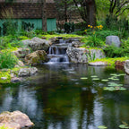 Large Pond Kit 21' X 26' W/Aquasurge 4000-8000 Adjustable Flow Pond Pump – image 3