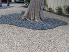 Black Mexican Beach Pebbles