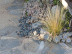 Black Mexican Beach Pebbles