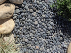 Black Mexican Beach Pebbles
