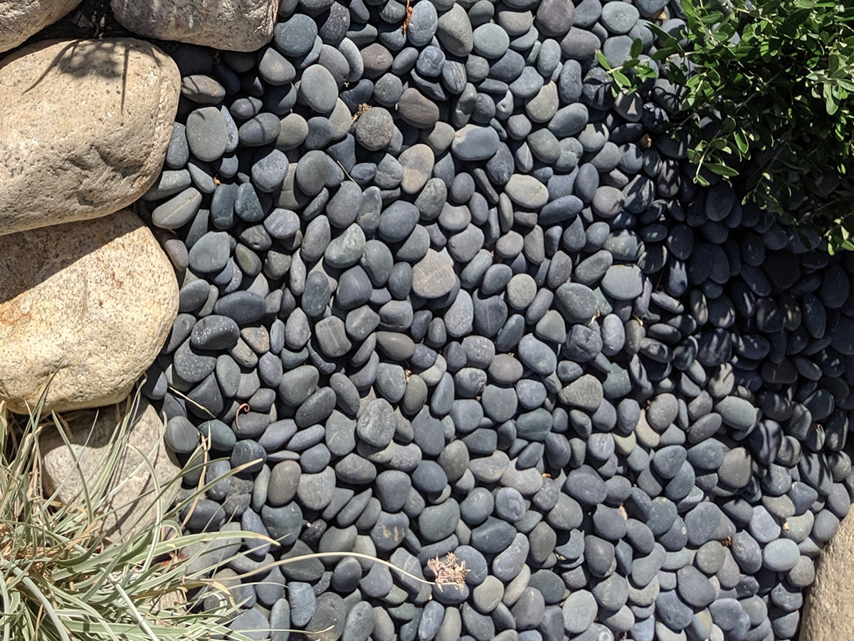 Black Mexican Beach Pebbles