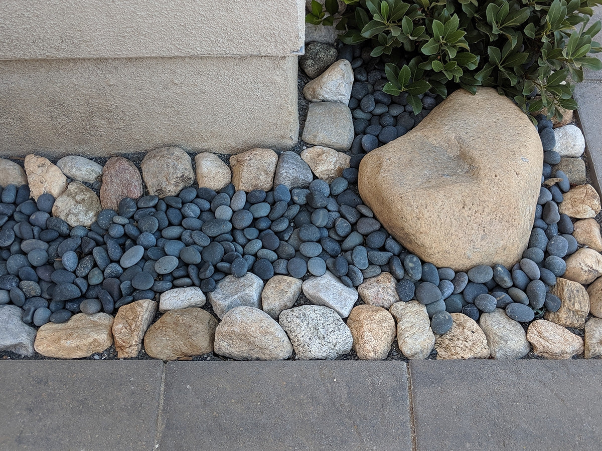 Black Mexican Beach Pebbles