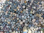 Mixed Colors Mexican Beach Pebbles