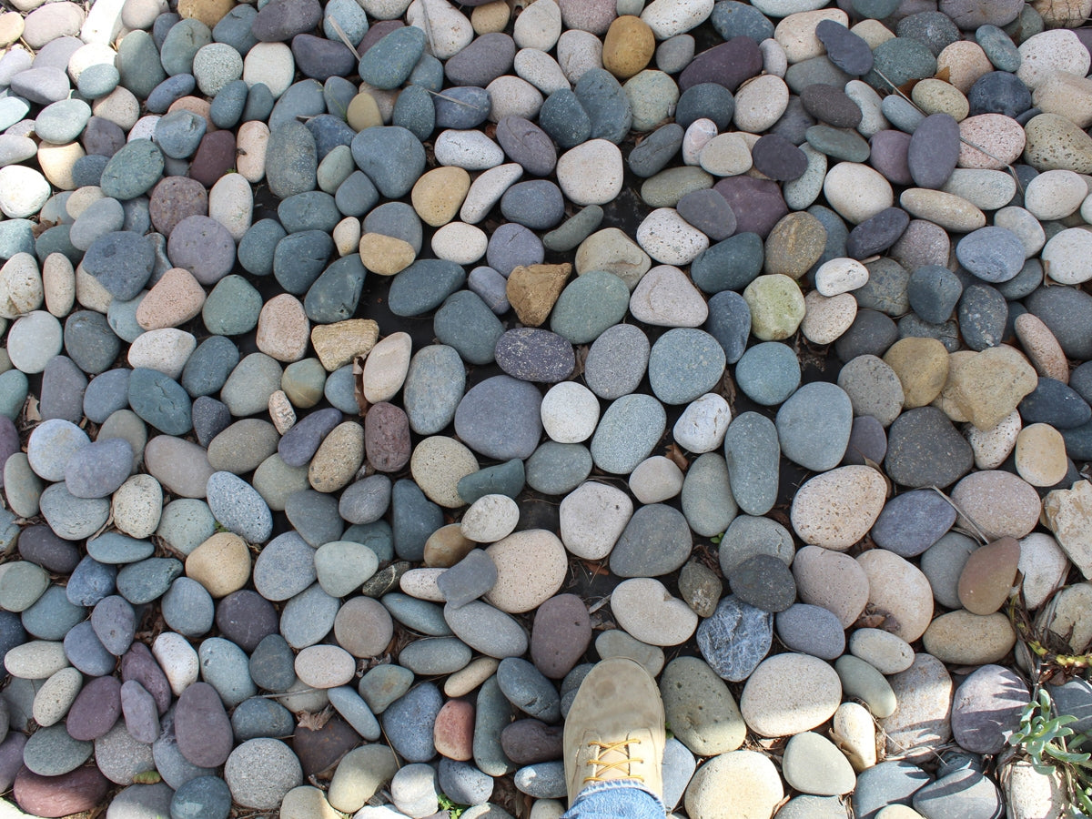 Mixed Colors Mexican Beach Pebbles