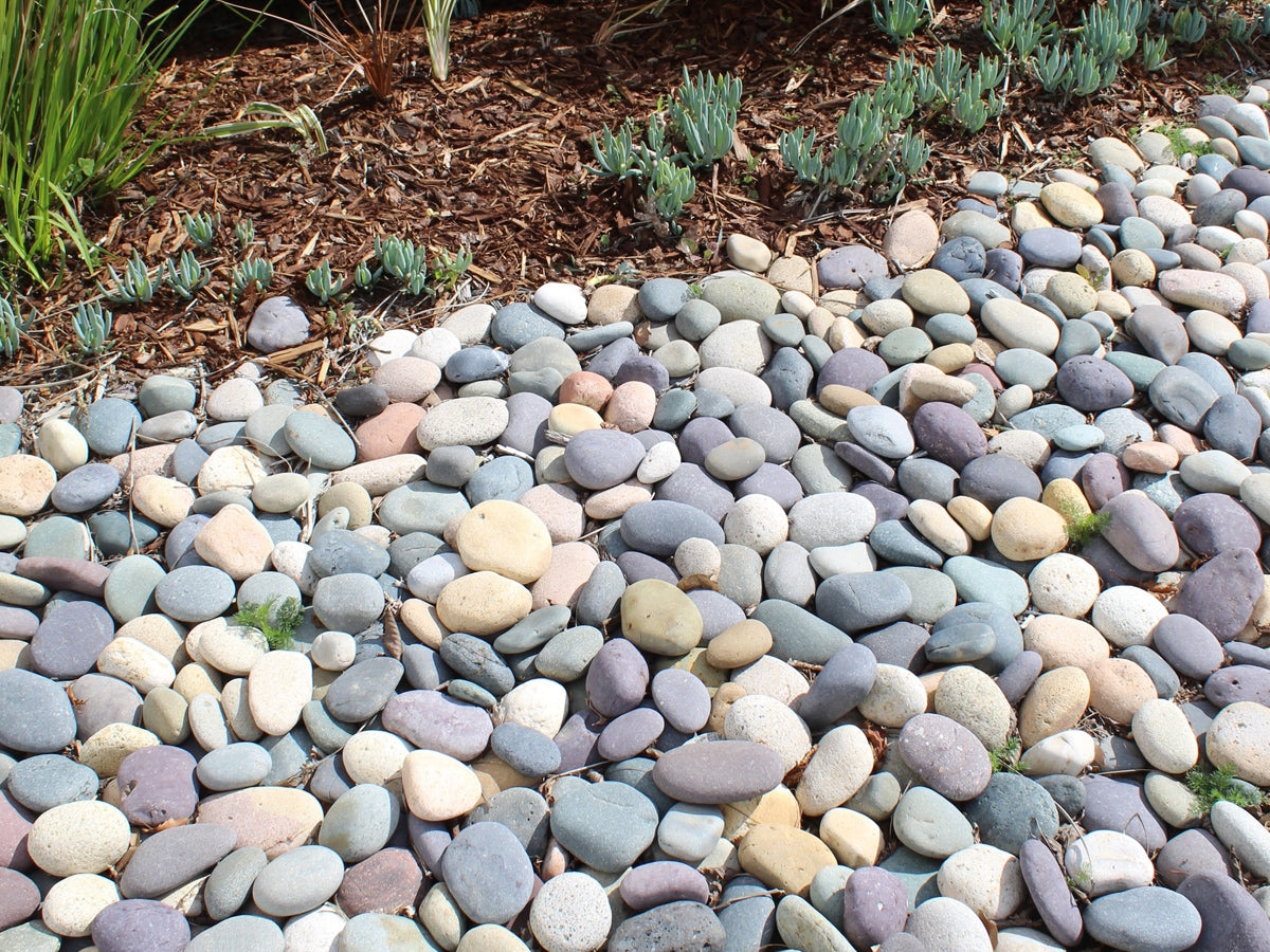 Mixed Colors Mexican Beach Pebbles