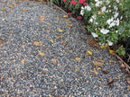 Mixed Colors Mexican Beach Pebbles