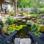 Medium Pond Kit 11' X 16' W/Aquasurge 2000-4000 Pond Pump – image 3