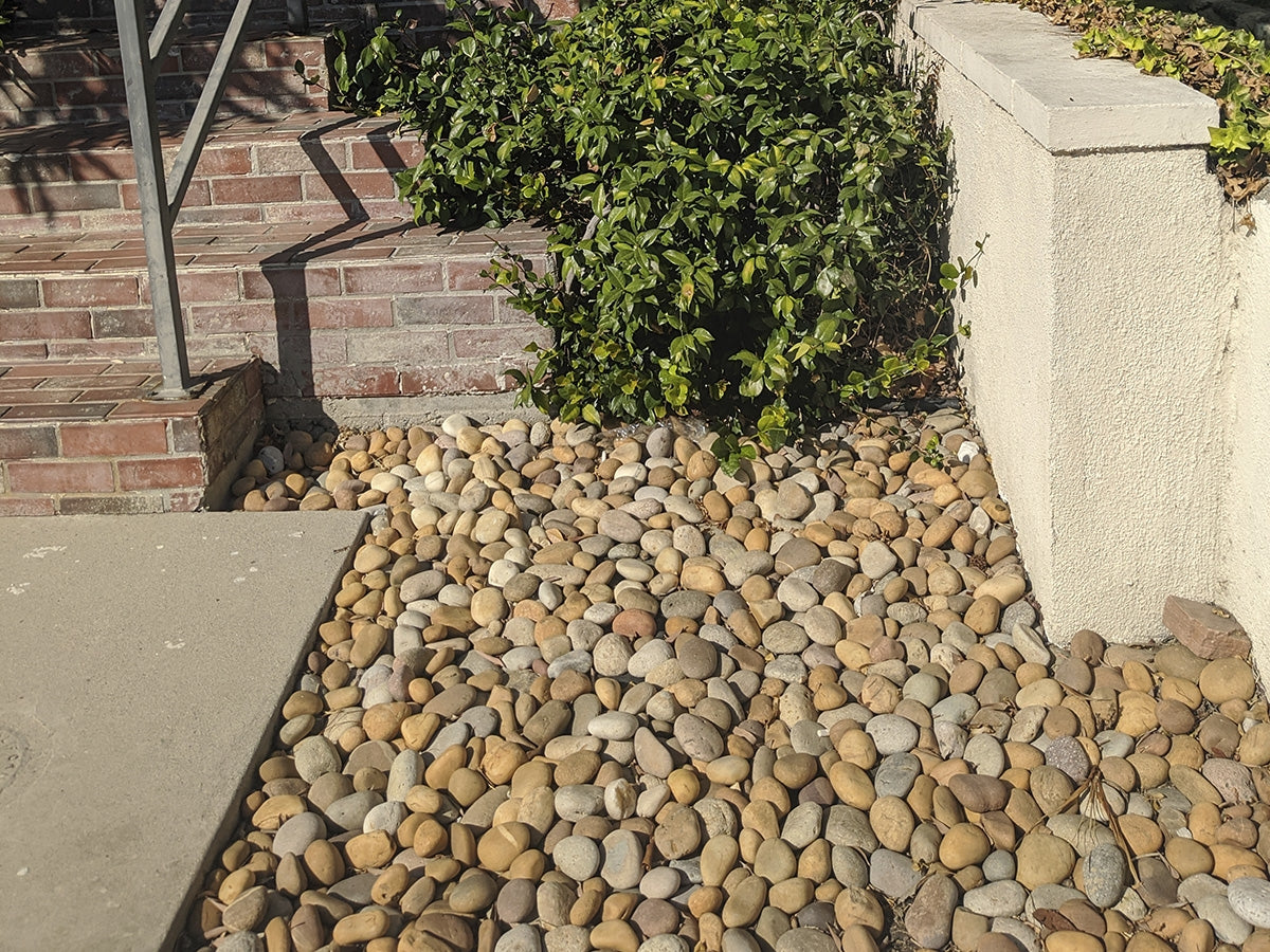 Buff Mexican Beach Pebbles