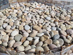 Buff Mexican Beach Pebbles