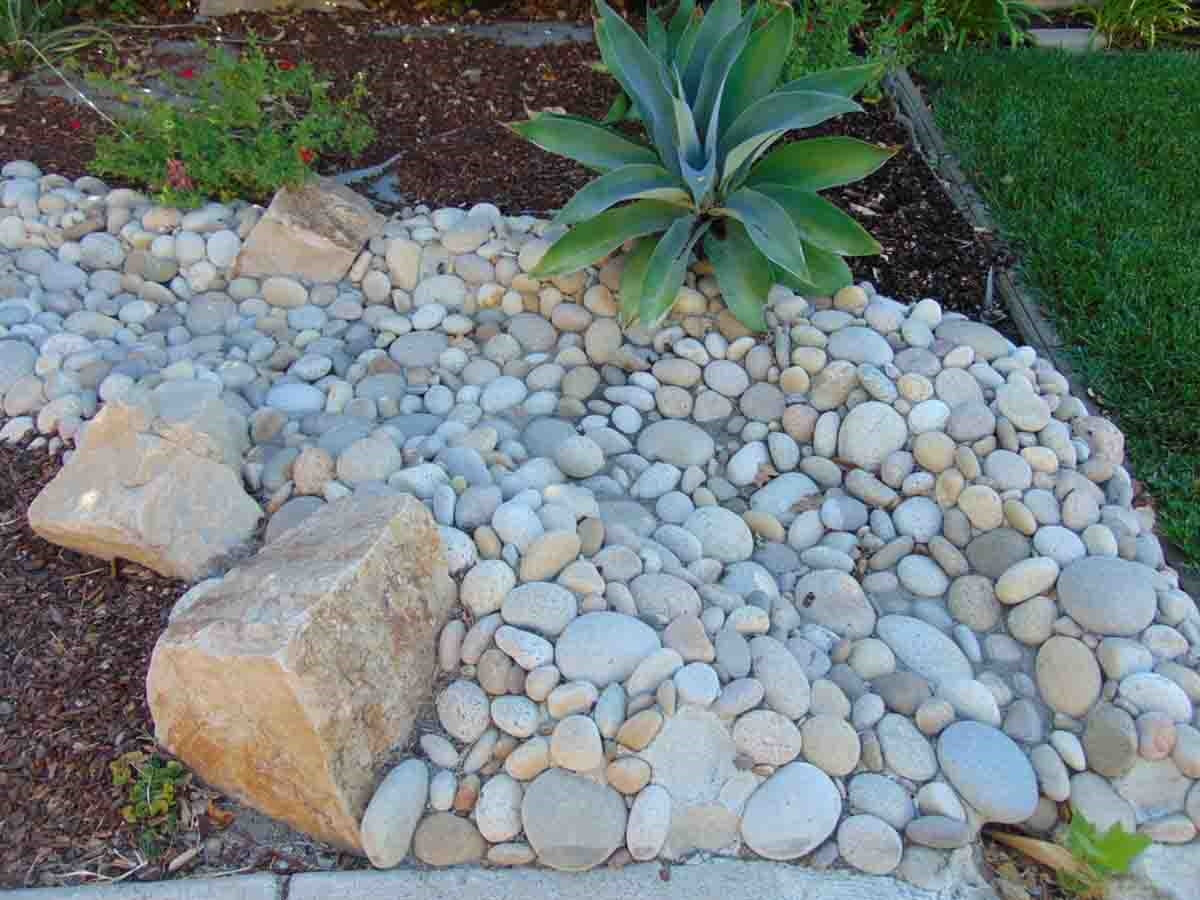Buff Mexican Beach Pebbles