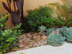 Baja Sunburst River Cobble