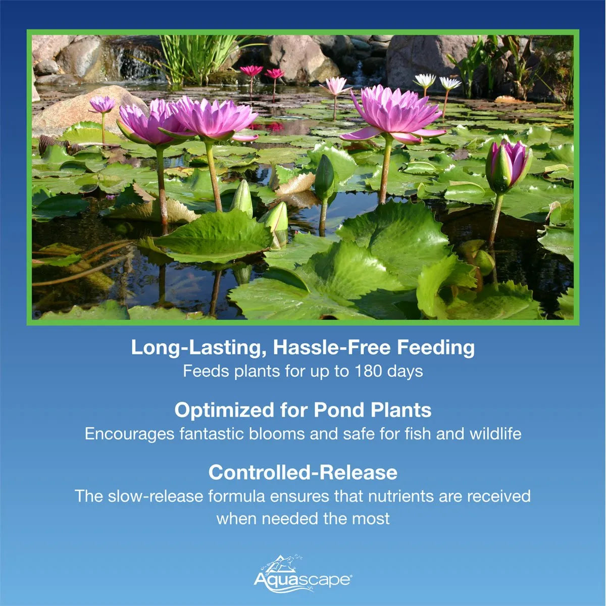 Once-A-Year Pond Plant Fertilizer Capsules (Qty 6) – image 10