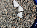 Coalinga Blue Pea Gravel
