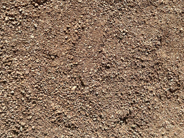 Arizona Coral D.G.