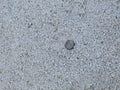 White Golf Course Bunker Sand