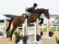 Horse Arena Sand