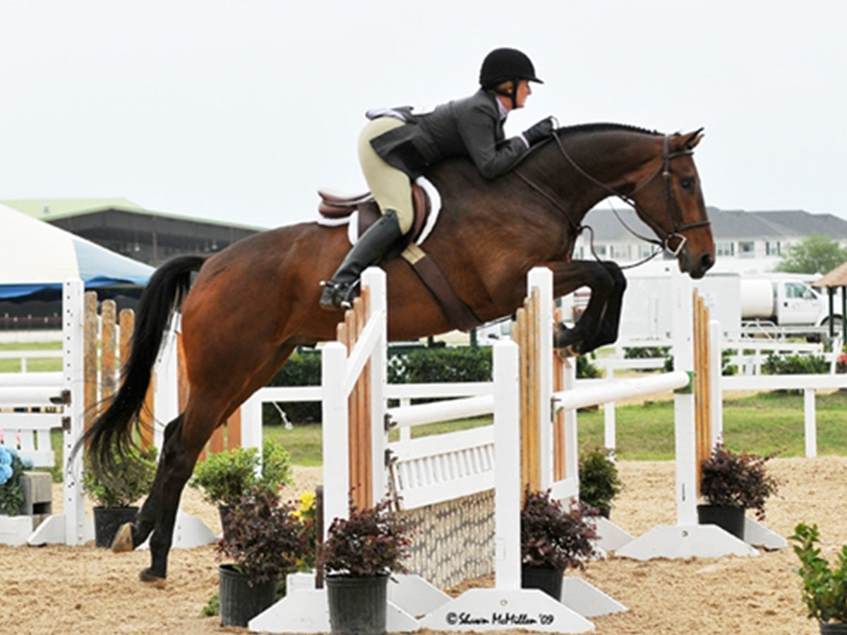 Horse Arena Sand