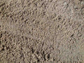 Washed Concrete Sand