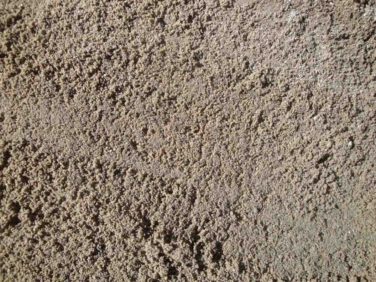 Washed Concrete Sand
